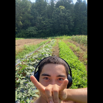 Jolly 先生